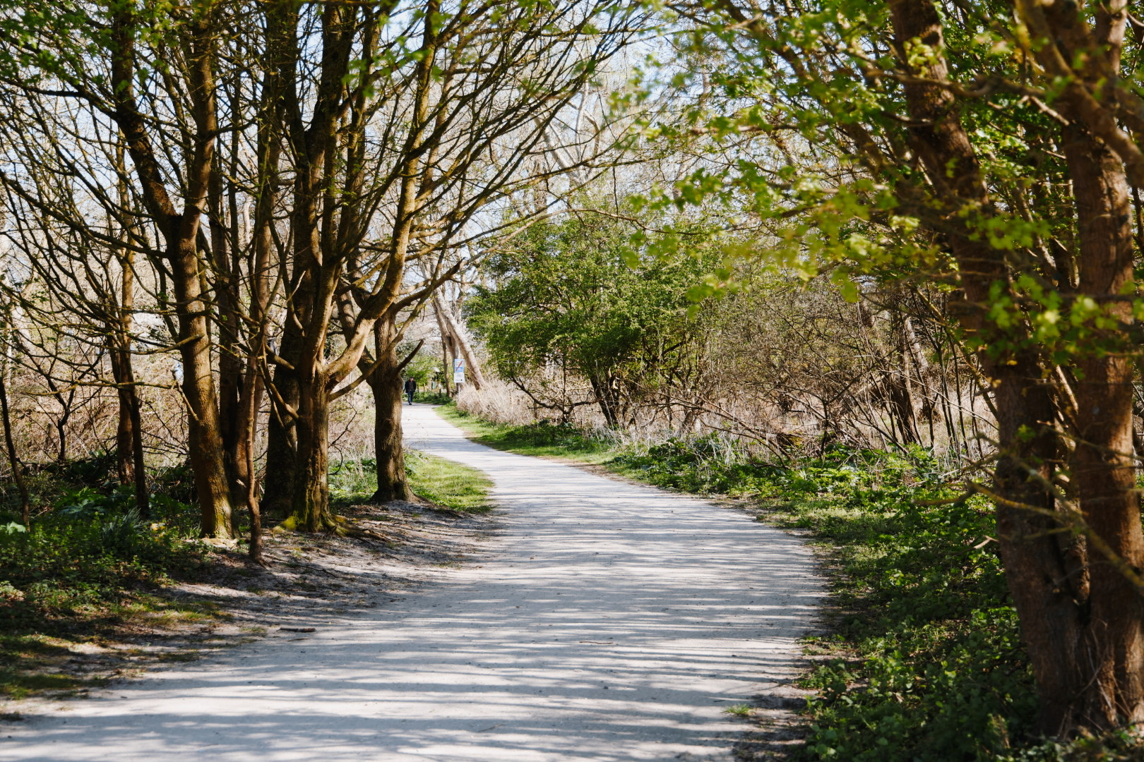 Hanse Hanse Makelaardij